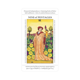 Tarot card titled 'Nine of Pentacles' with a person in a robe and bird, surrounded by pentacle symbols.