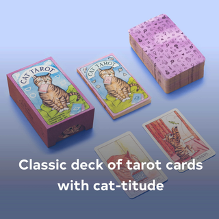 Cat-themed tarot card set with cards and box on a blue gradient background