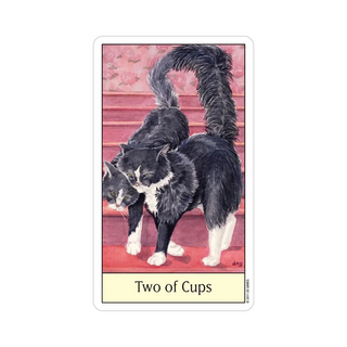 Card featuring two cats with the title 'Two of Cups' on a white background