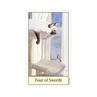 Card titled 'Four of Swords' featuring a cat and bird by a window.