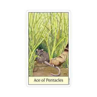 Tarot card titled 'Ace of Pentacles' featuring two animals in a natural setting.
