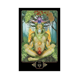 Dreams of Gaia tarot card
