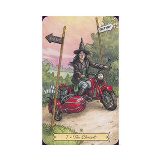 Everyday Witch Tarot card