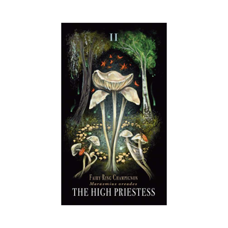 Midnight Magic Tarot Cards & Guidebook