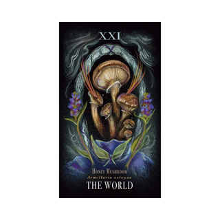 Midnight Magic Tarot Cards & Guidebook