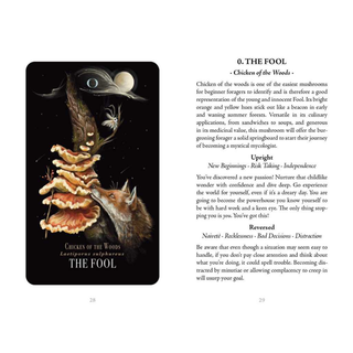 Midnight Magic Tarot Cards & Guidebook