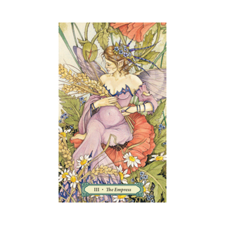 Mystic Faerie Tarot card
