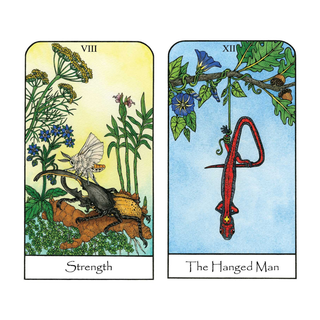 Cards from the Nature Spirit Tarot Deck