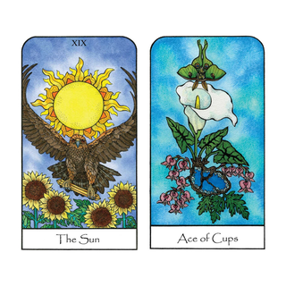 Nature Spirit Tarot & Guidebook