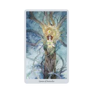Shadowscapes Tarot Card