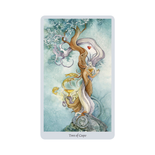 Shadowscapes Tarot Card