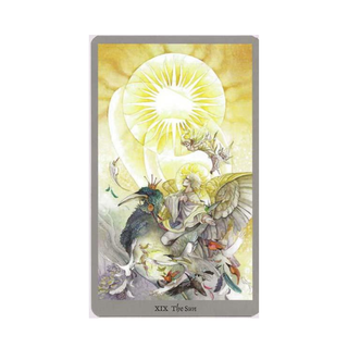 Shadowscapes Tarot Card