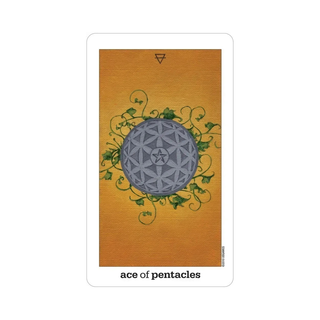 Ace of Pentacles tarot card with decorative design on a white background
