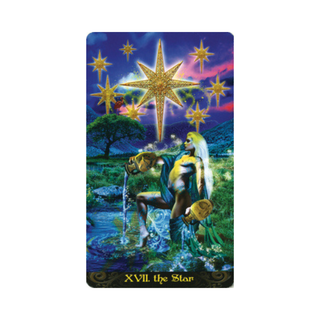 Tarot card titled 'The Star' with a fantasy scene featuring a person and stars.