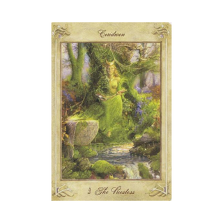 Card from The Llewellyn Tarot Deck