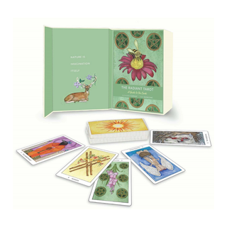 Open tarot card book with cards displayed on a white background