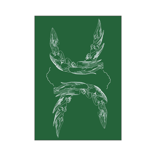 White line drawing of a horse head on a green background