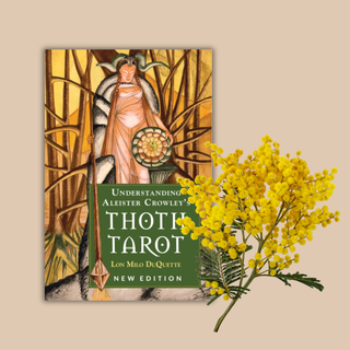 Book cover of 'Understanding Aleister Crowley's Thoth Tarot' with a decorative design and yellow flowers on a beige background.