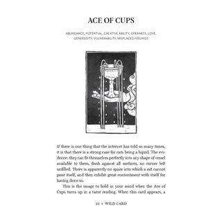 Wild Card Tarot Book Page